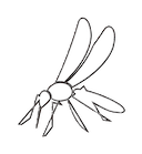 mosquitone